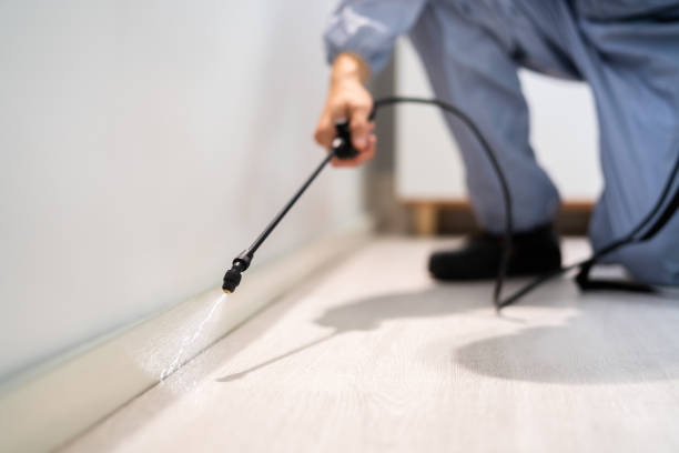 Certified termite inspector examining foundation in Lawrenceville