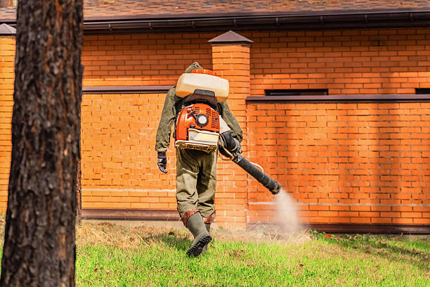 Top rated local Wasp Removal specialists in Lawrenceville, IL